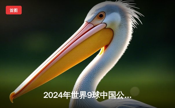 2024年世界9球中国公开赛落幕，中国新星赵汝亮决赛11-9险胜德国名将夺冠